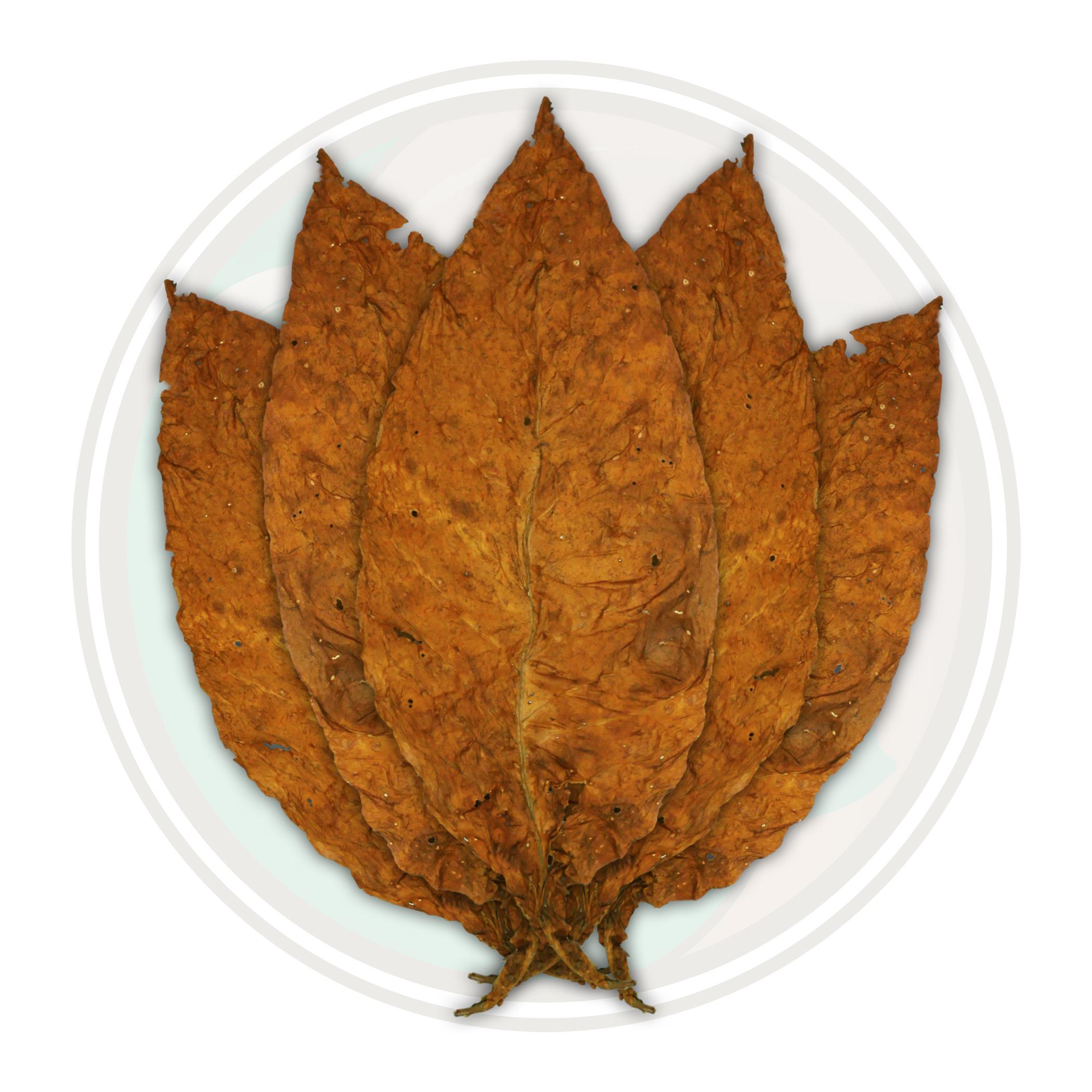 2018 USA Virginia Flue Cured Tobacco Leaf For Cigarettes, MYO, RYO
